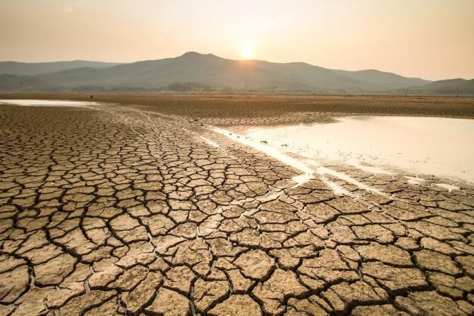 30-03-20-Investment-Trusts-Income-Drought-article-v1.jpg
