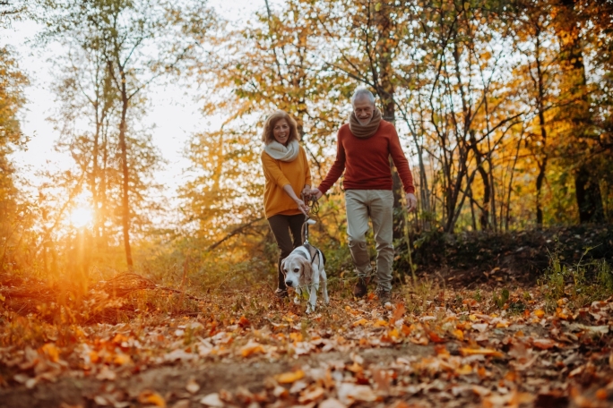 Elderly man and woman walking their dog