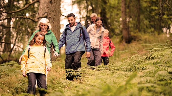 family walking in woods
