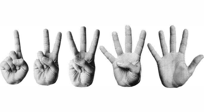 Five fingers