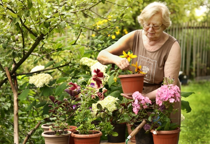 Pensioner gardening