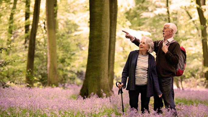 retired couple walking through bluebells