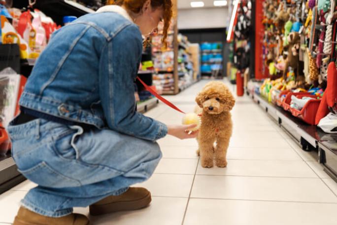 owner with small dog in pet shop