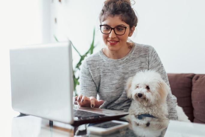 woman using laptop at home with dog