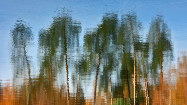 A mirage