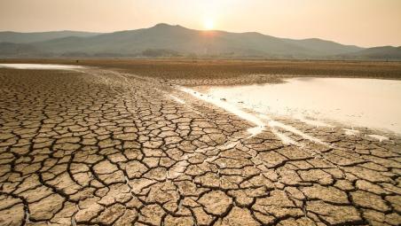 30-03-20-Investment-Trusts-Income-Drought-article-v1.jpg