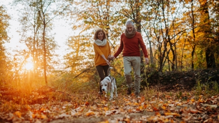 Elderly man and woman walking their dog