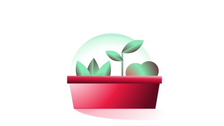 Planter with growing plants
