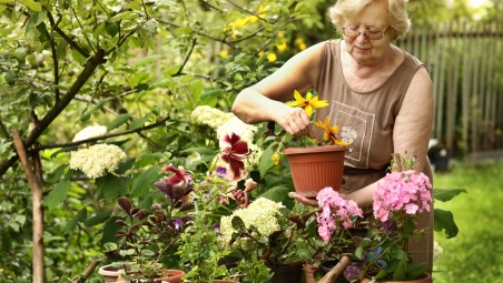 Pensioner gardening