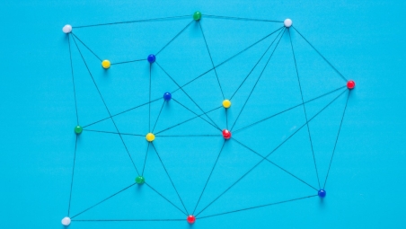 Network of pins