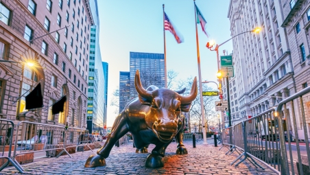 Wall Street Bull