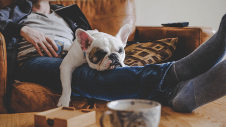 Man lying on sofa with dog